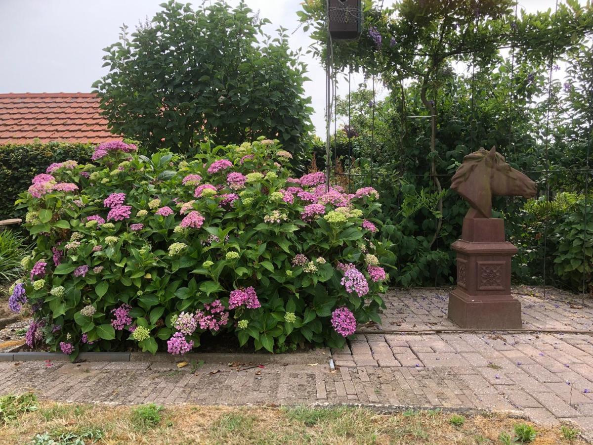 Laaker Villa Nearby Outlet Roermond Ohe en Laak Exterior photo